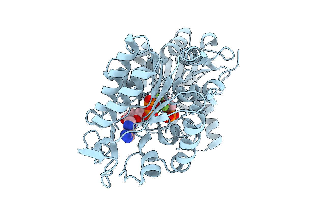 3zoz image
