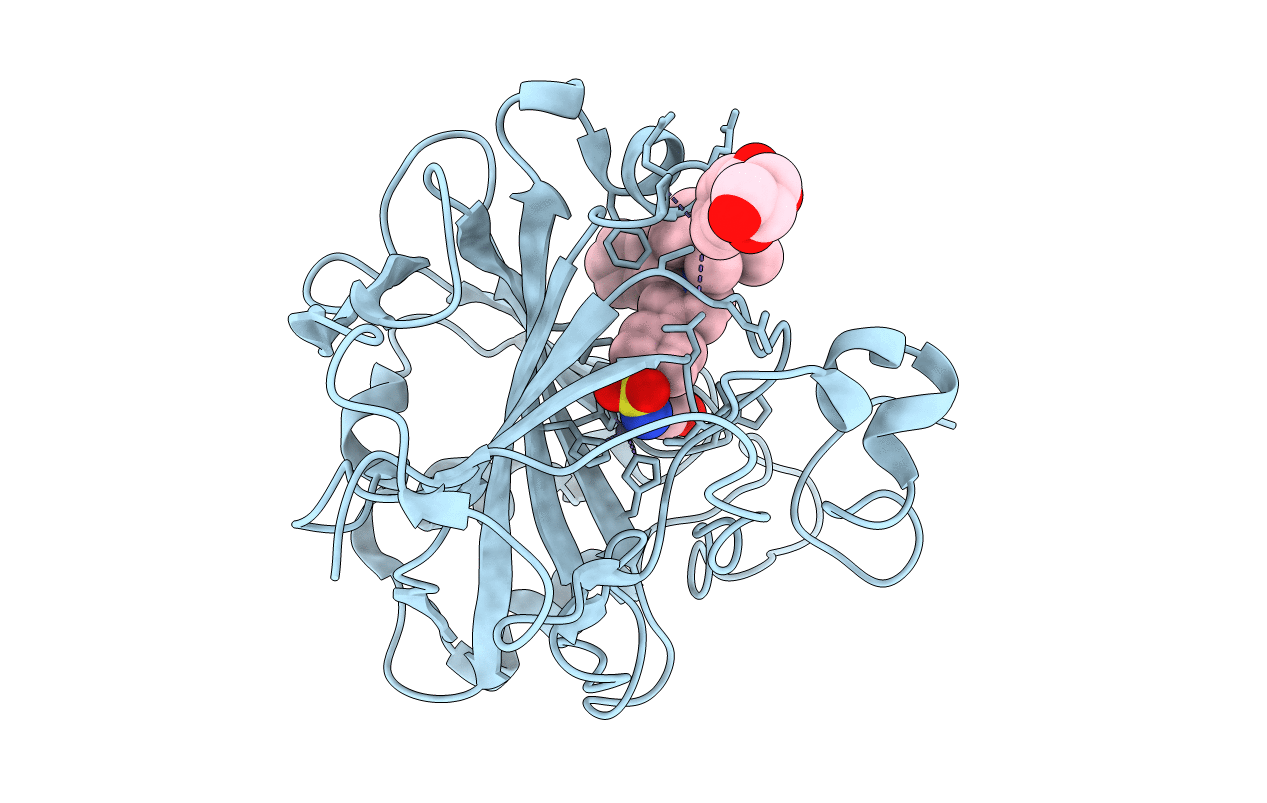 3ZP9 image