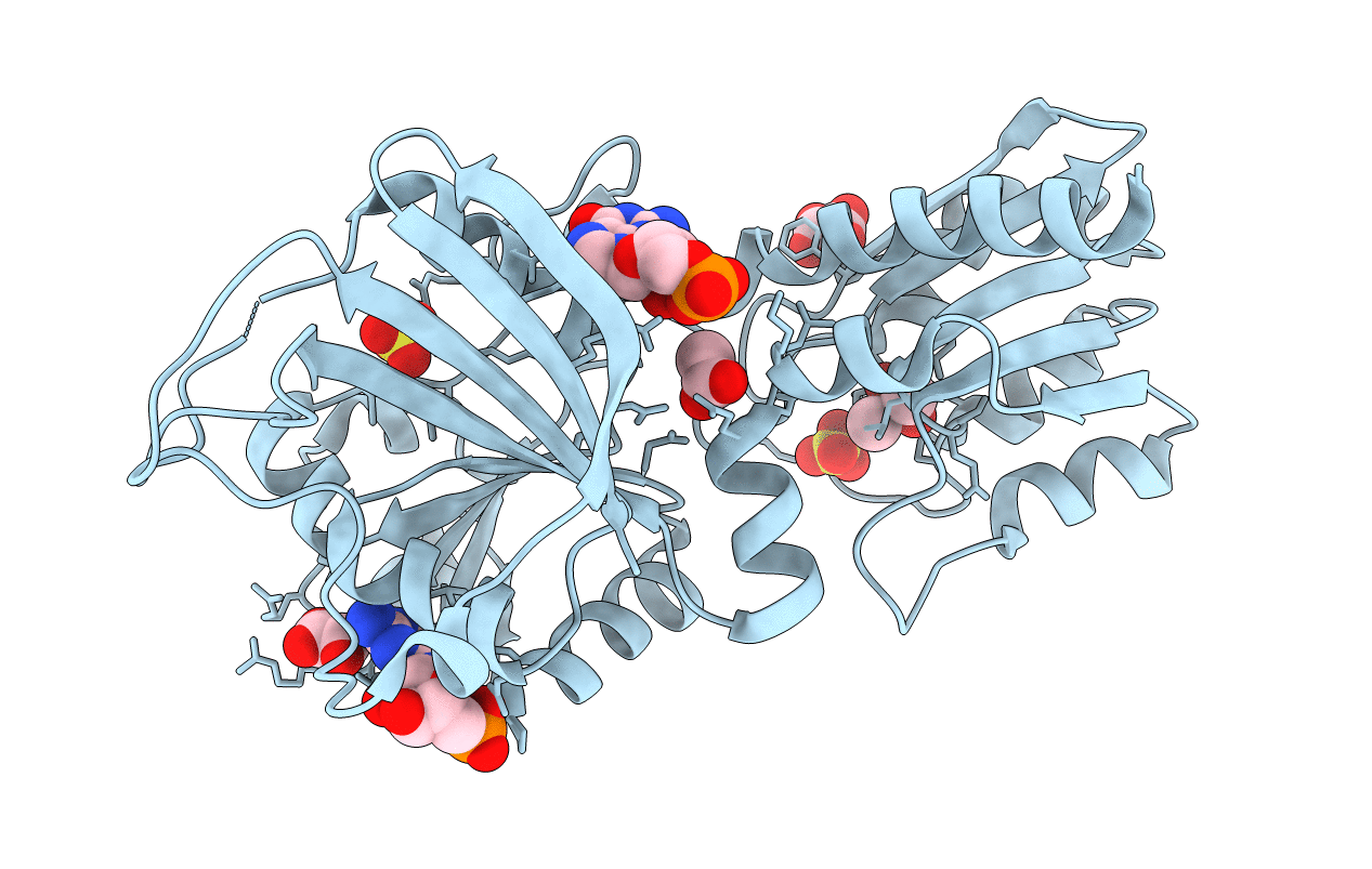 3ZPG image