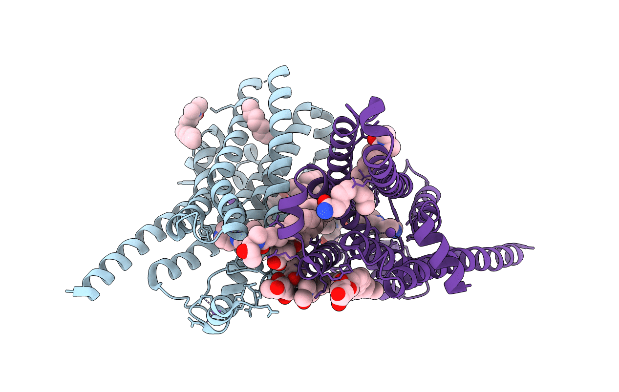 3ZPR image