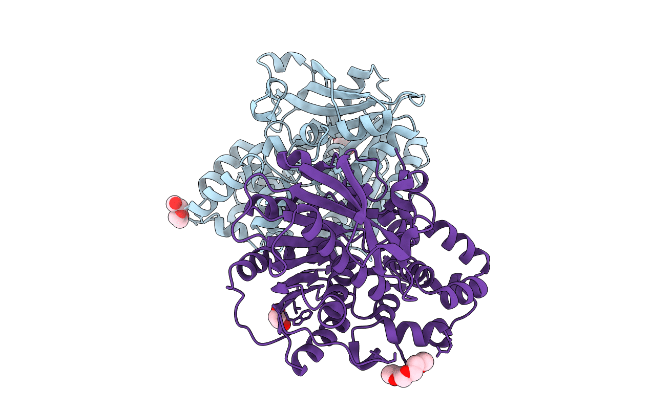 3ZPX image