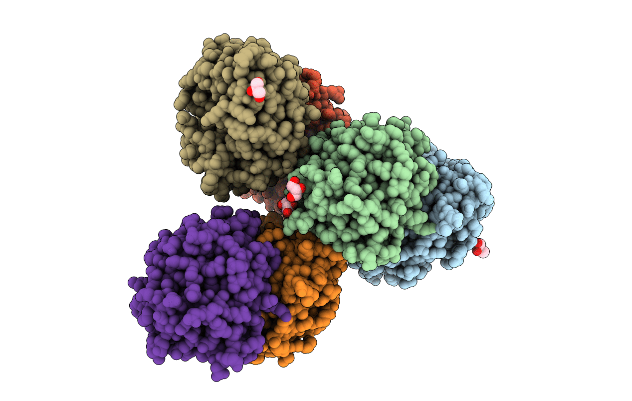 3ZR4 image