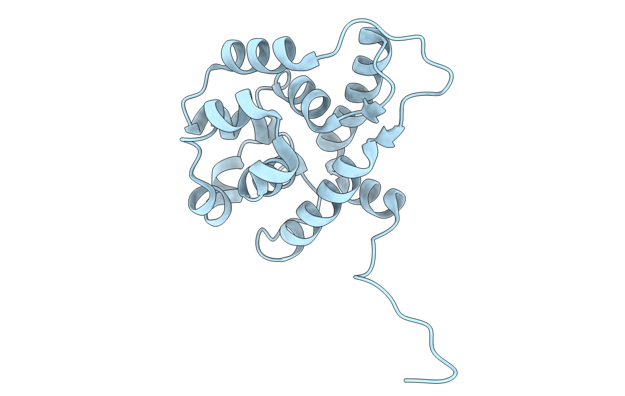 3ZRI image