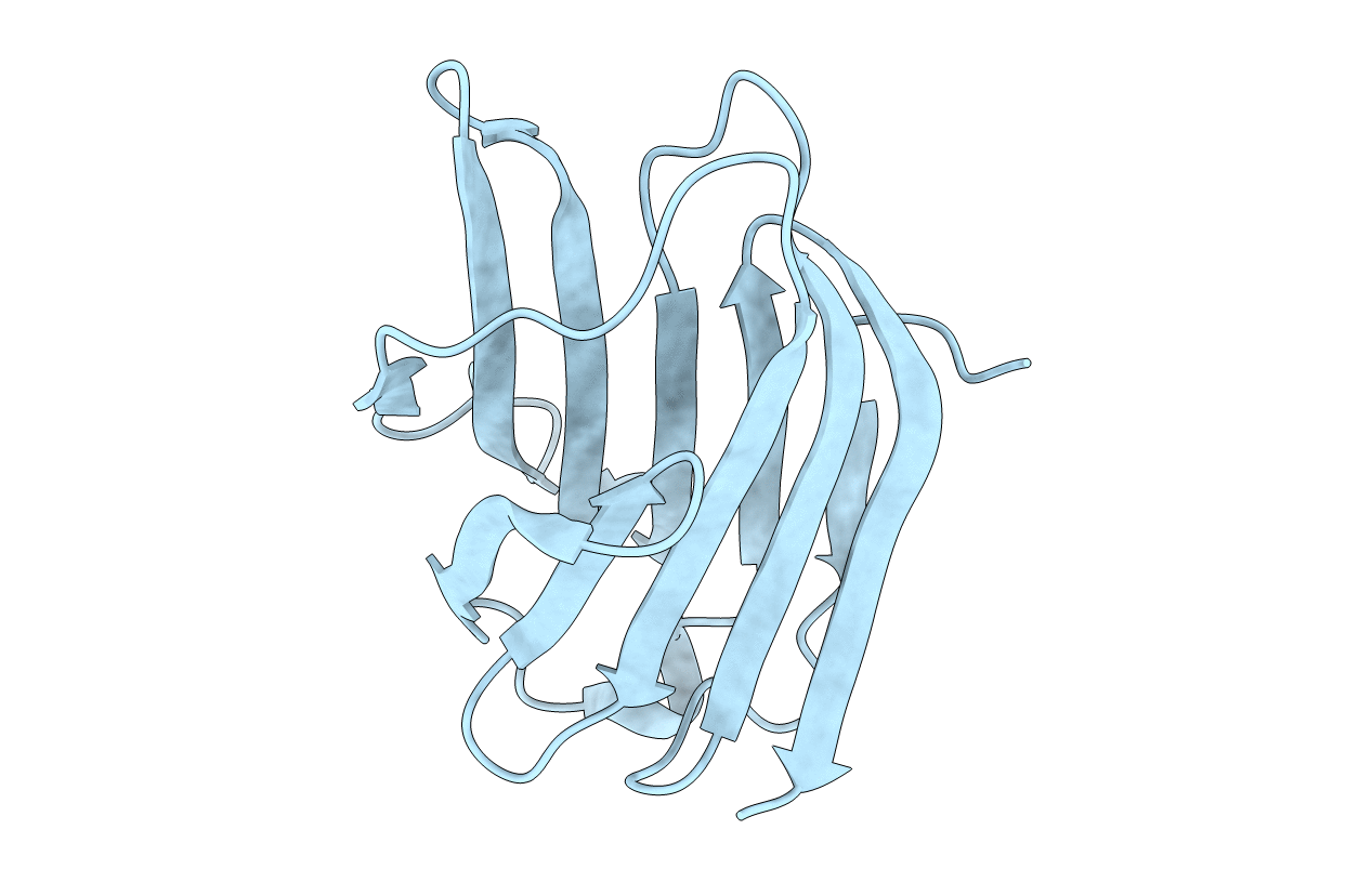 3ZSL image