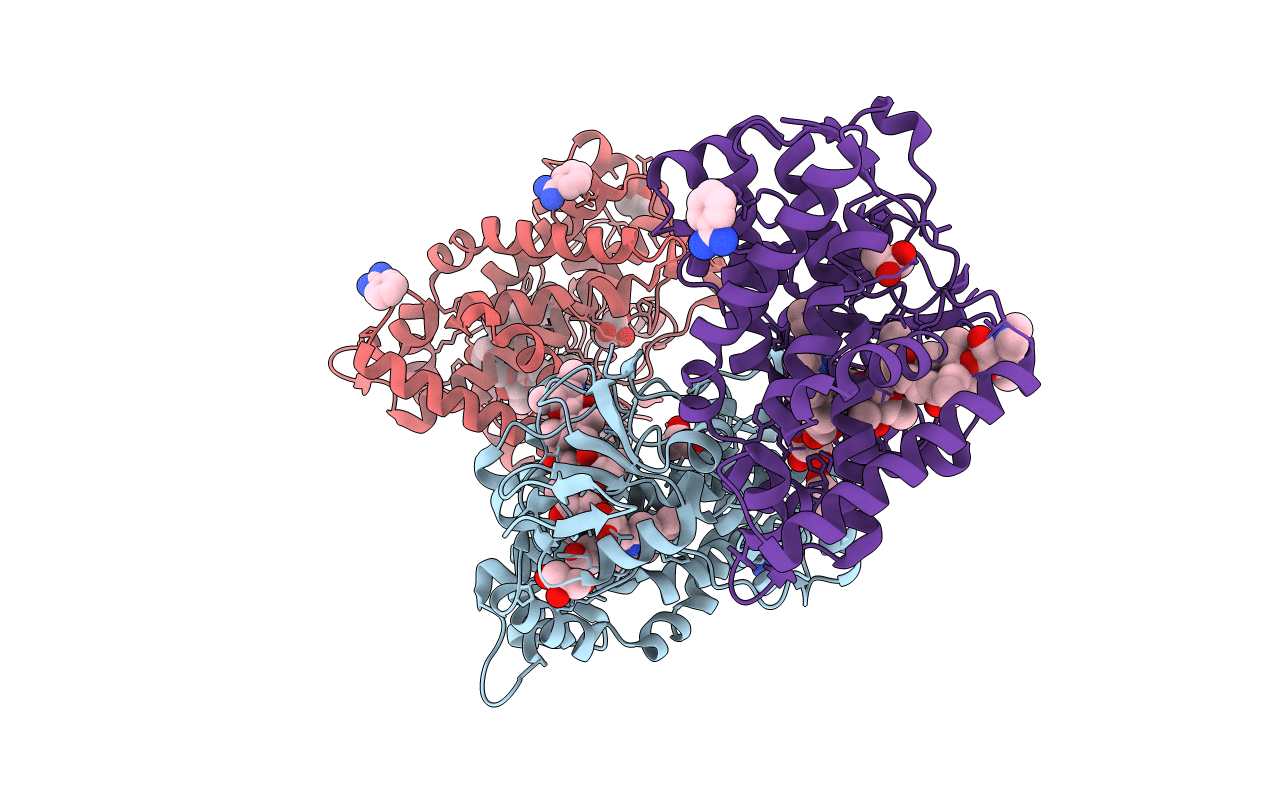 3ZSN image