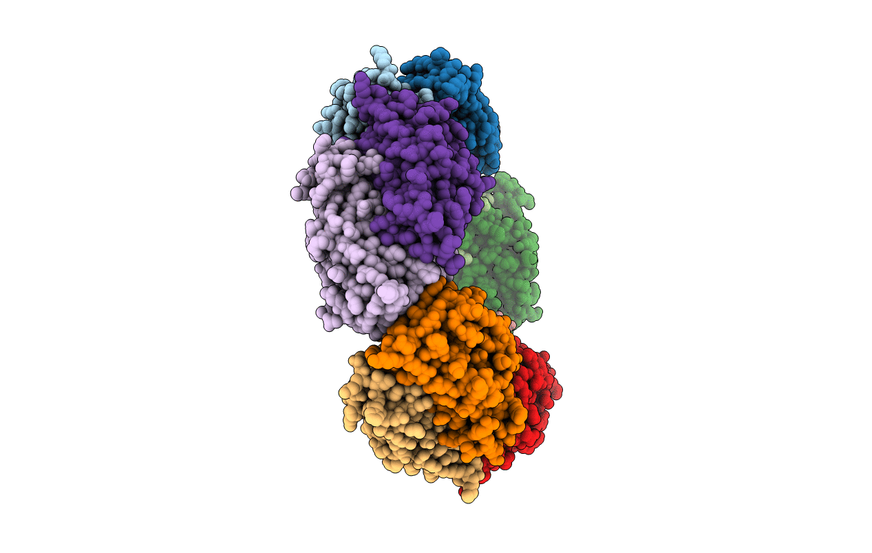 3ZTL image