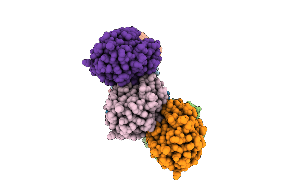 3ZWJ image