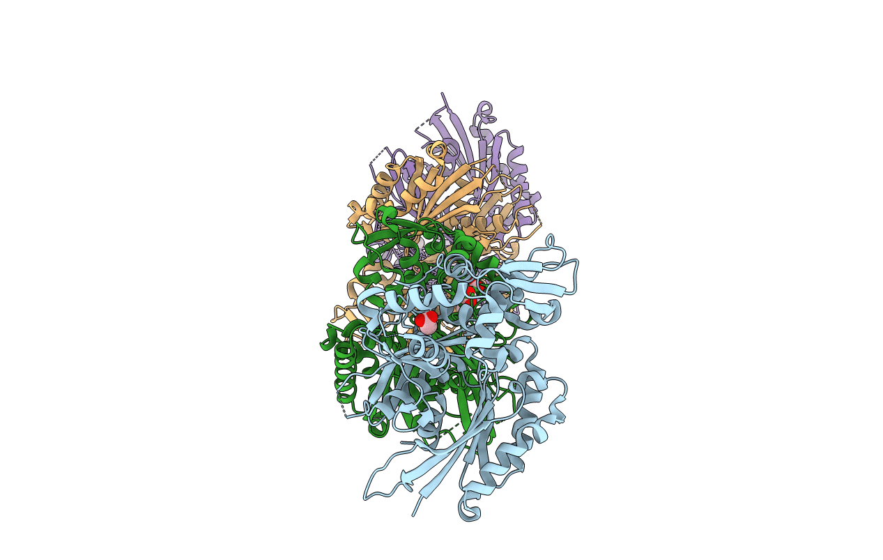 3ZX3 image