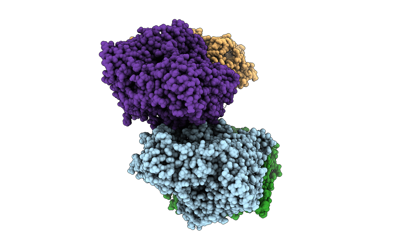 3ZYV image