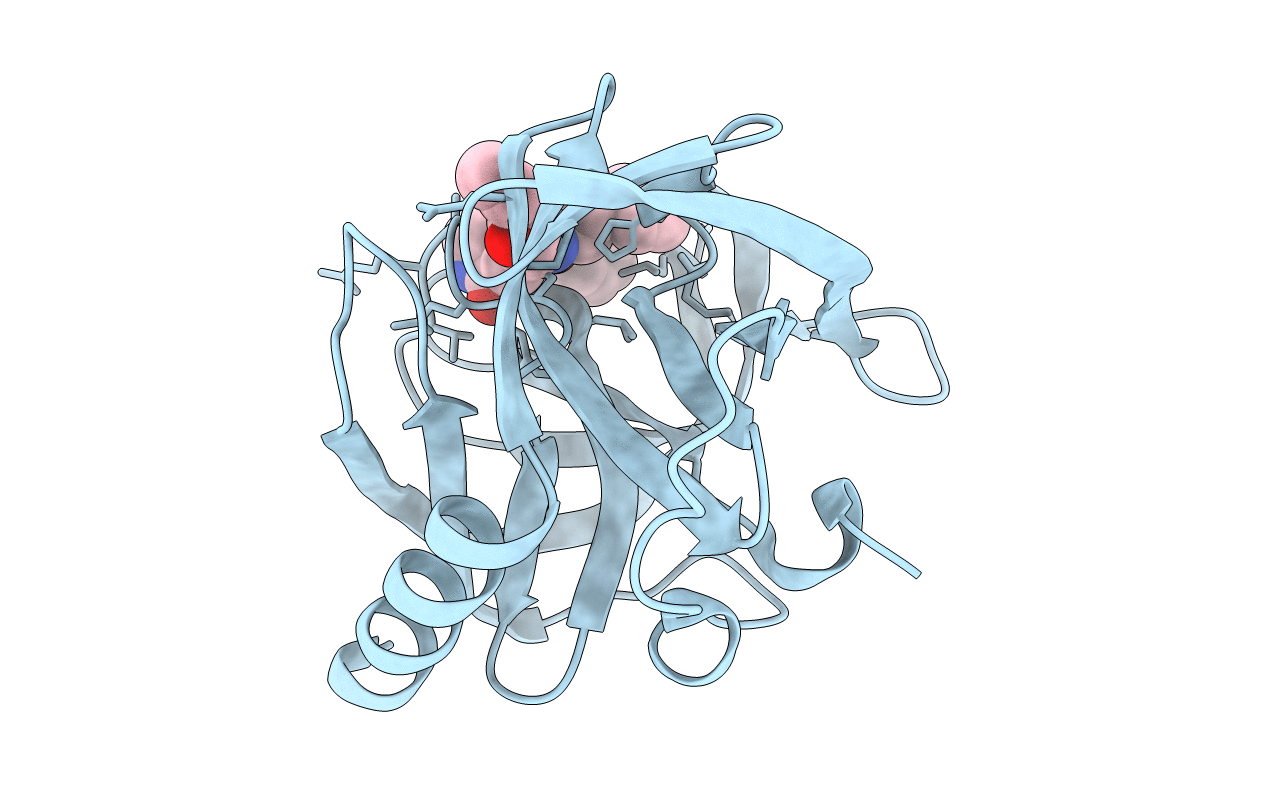 3ZZ6 image