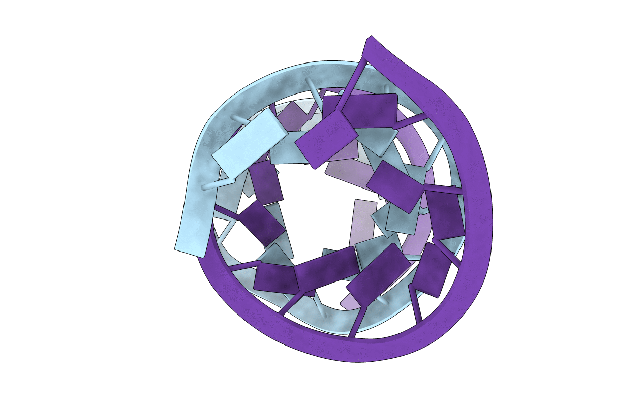 405D image