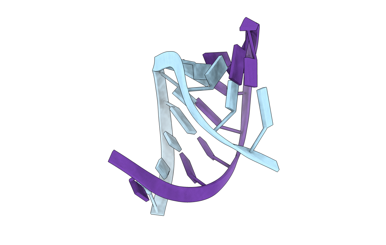 411D image