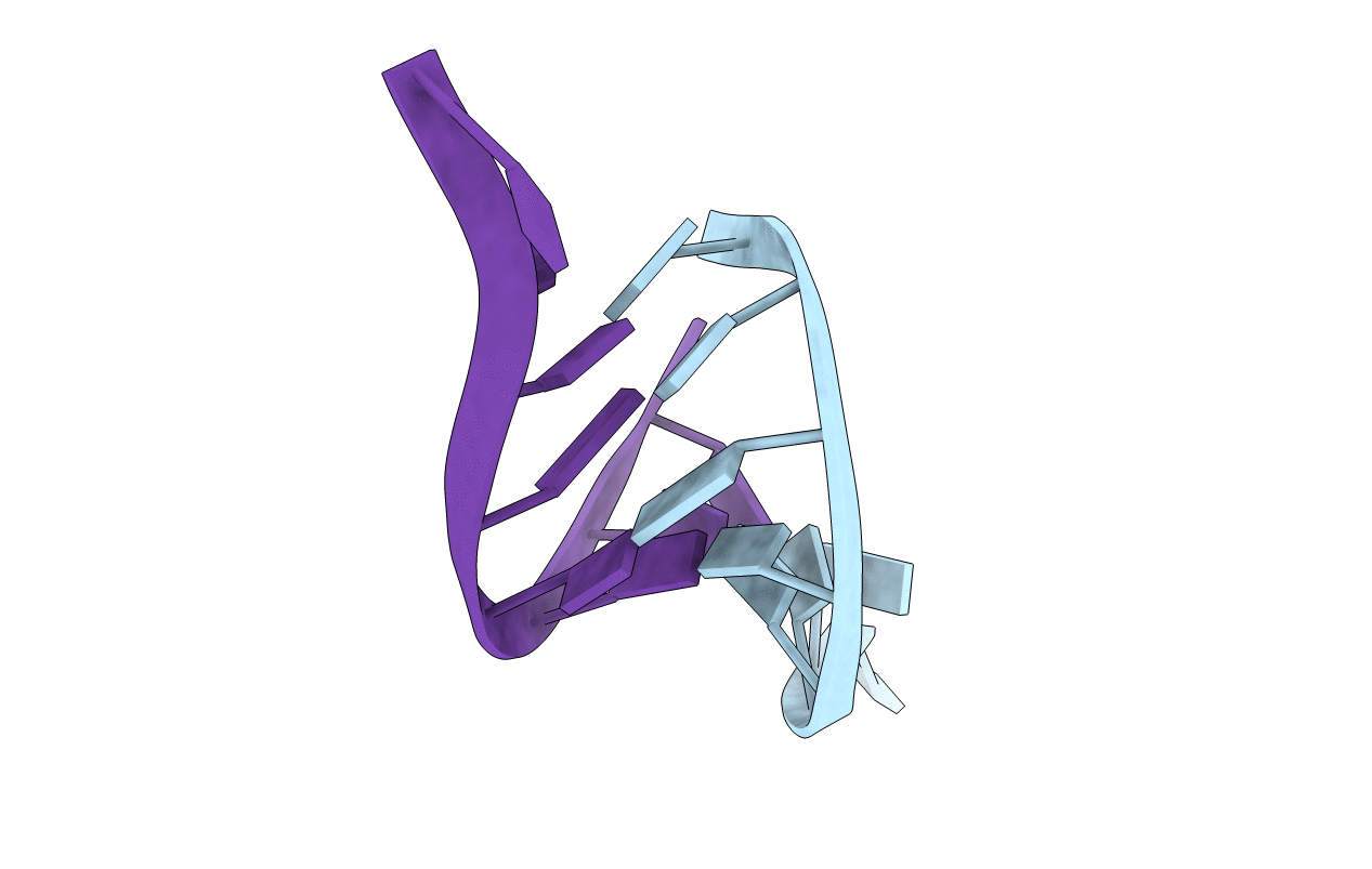 418D image