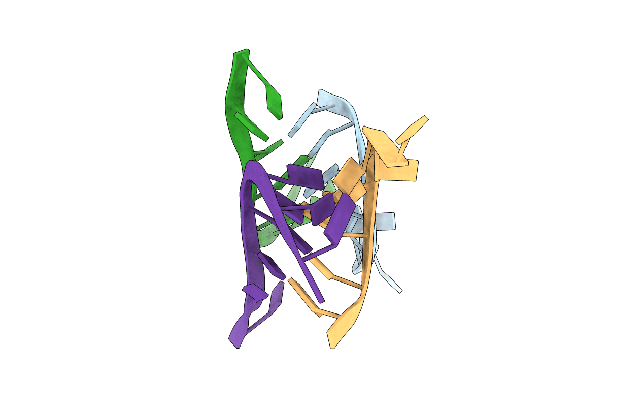 419D image