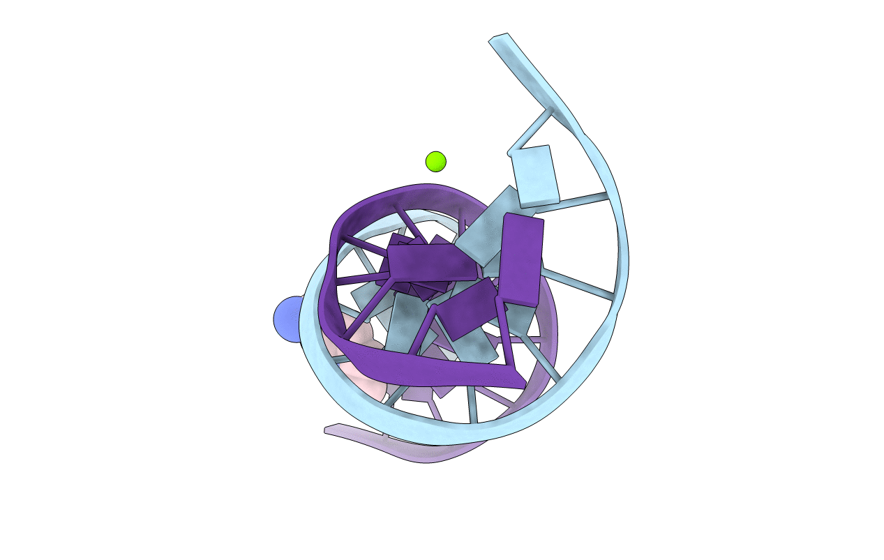 428D image