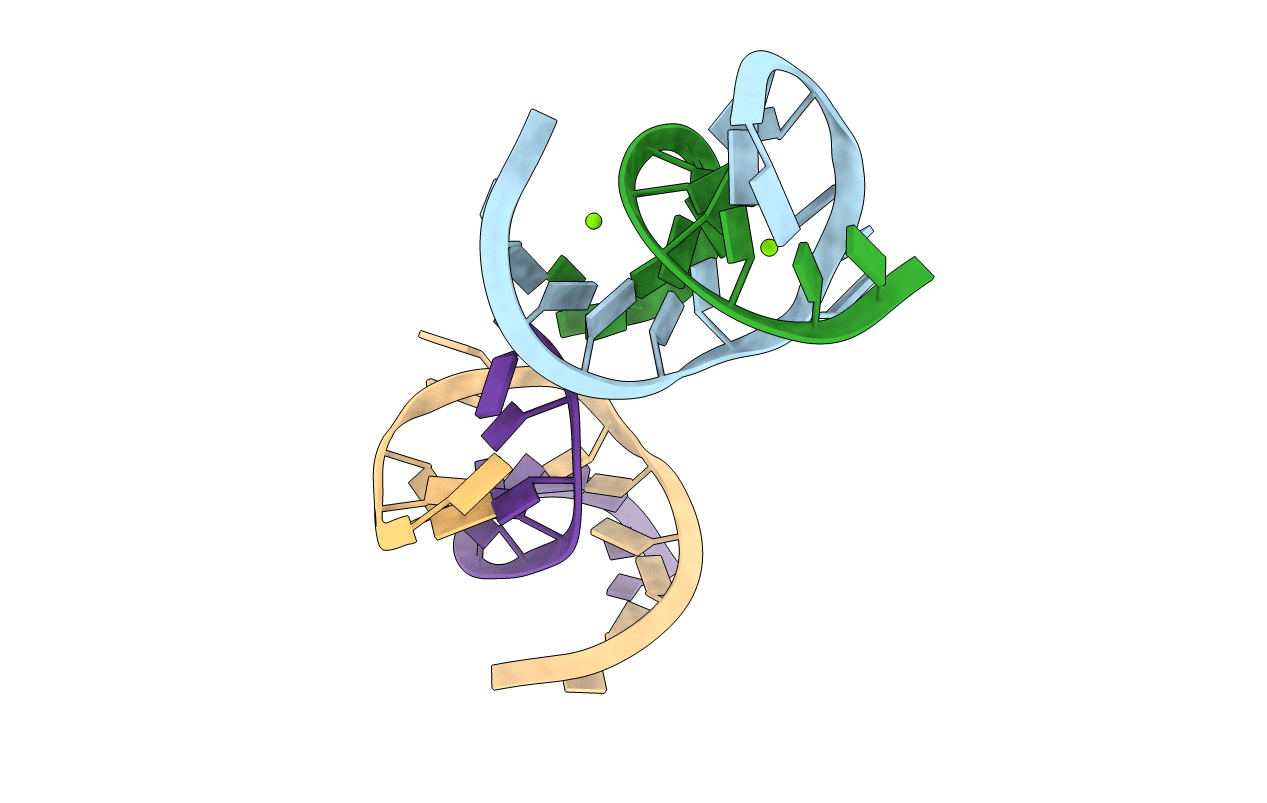 429D image