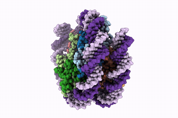 43IB image
