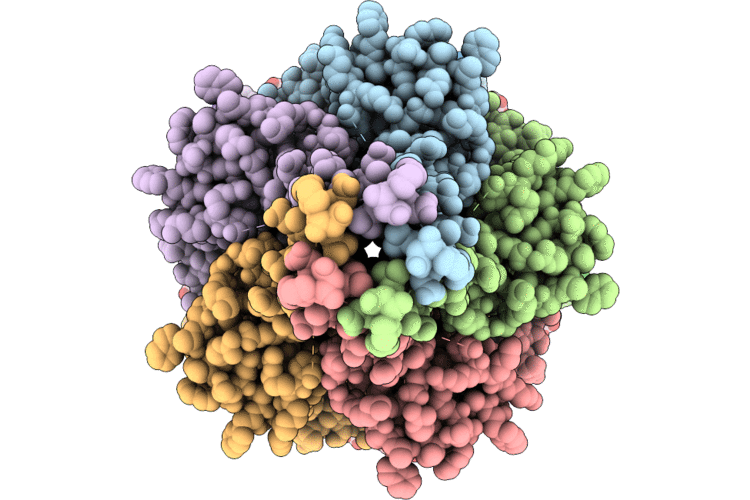 43SN image