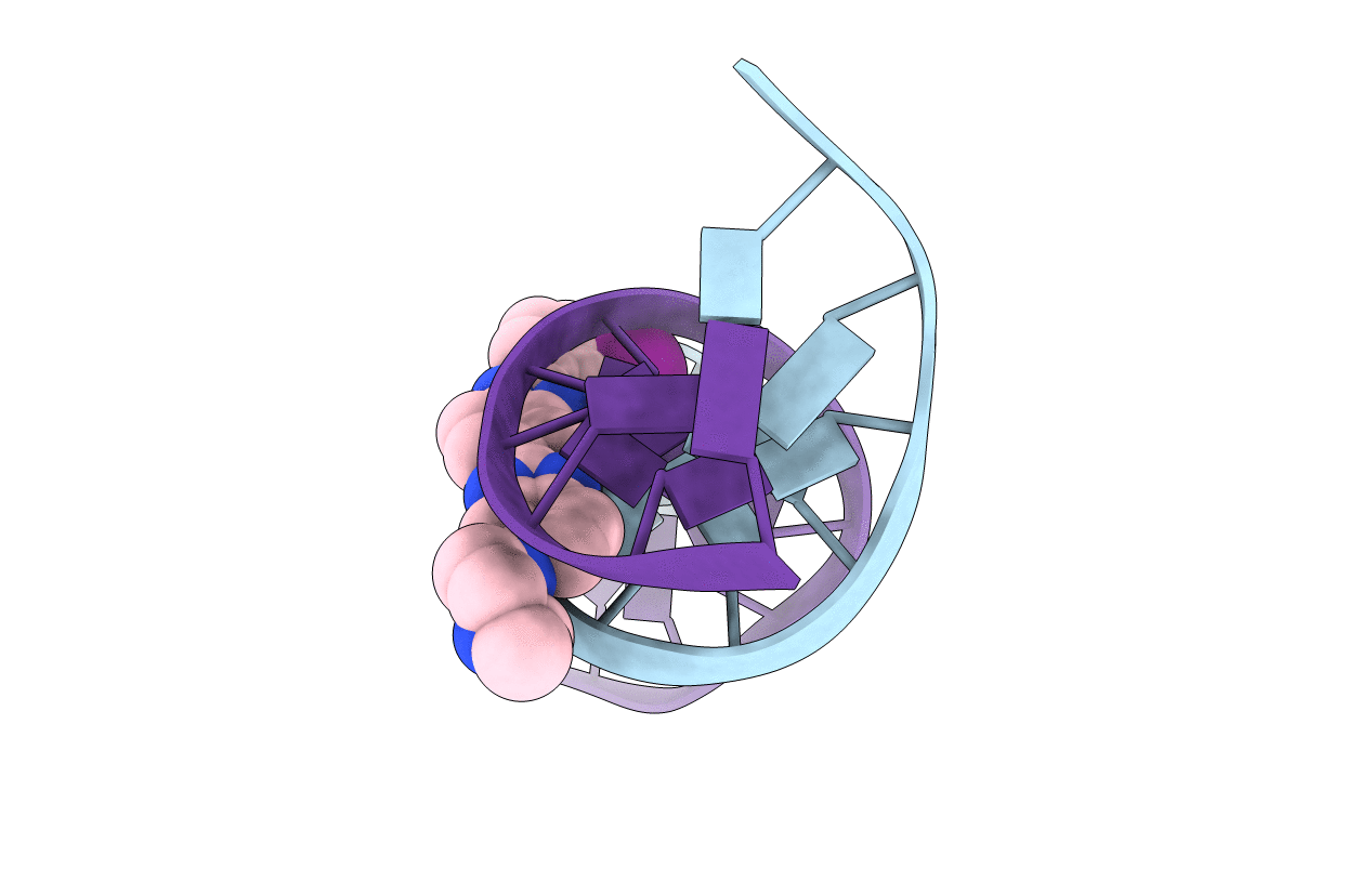 445D image