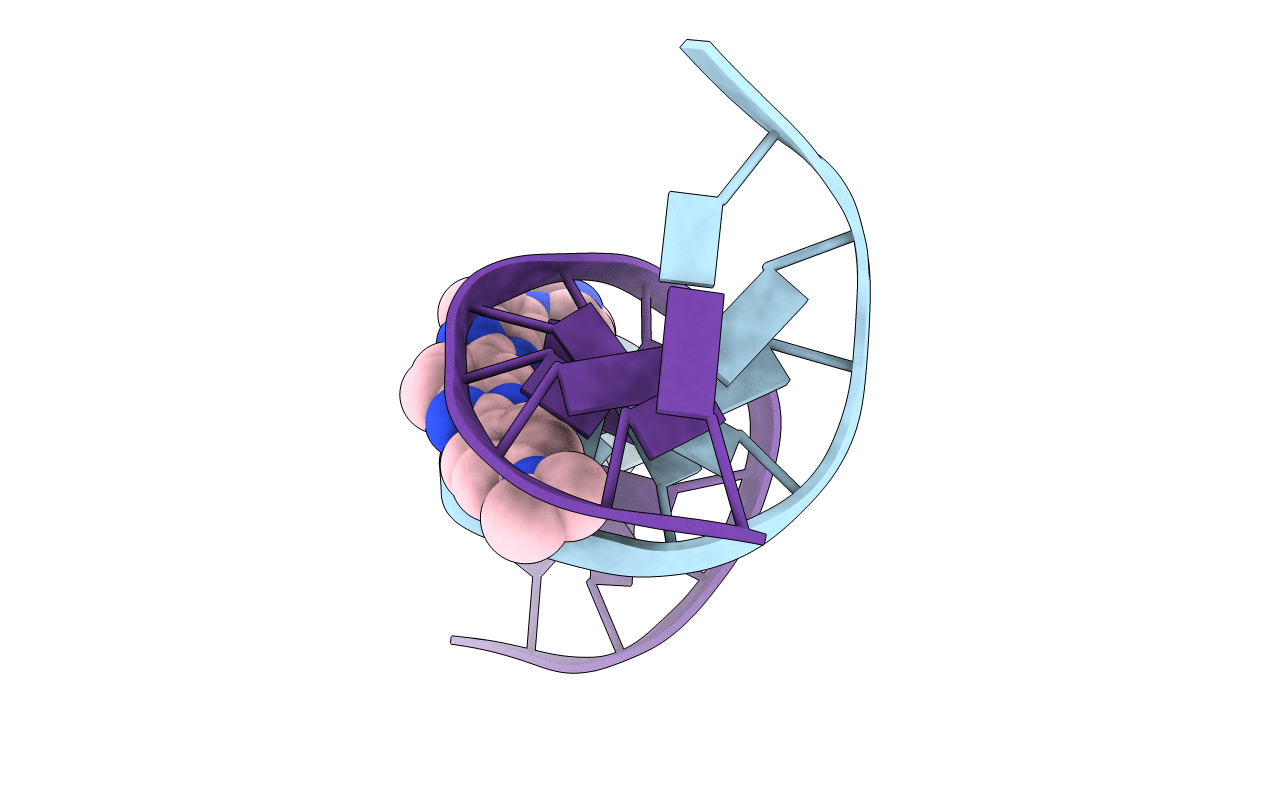 447D image