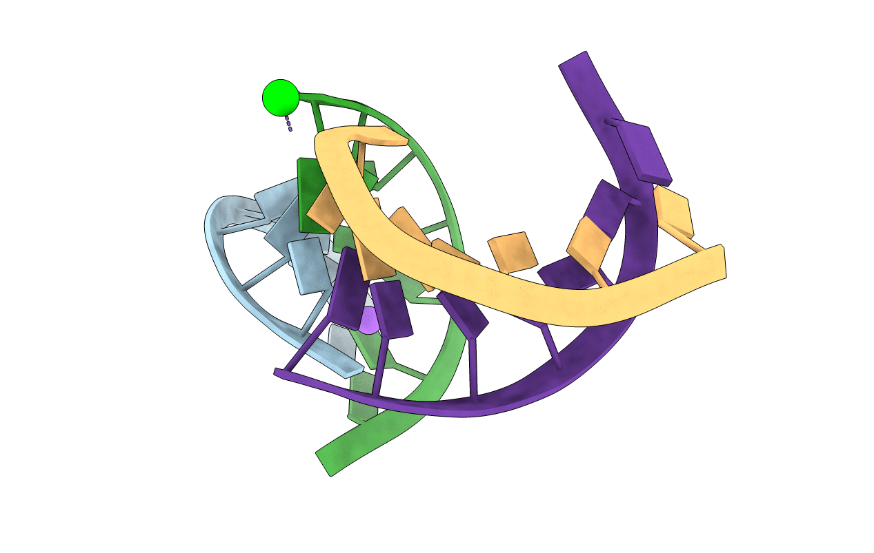 464D image