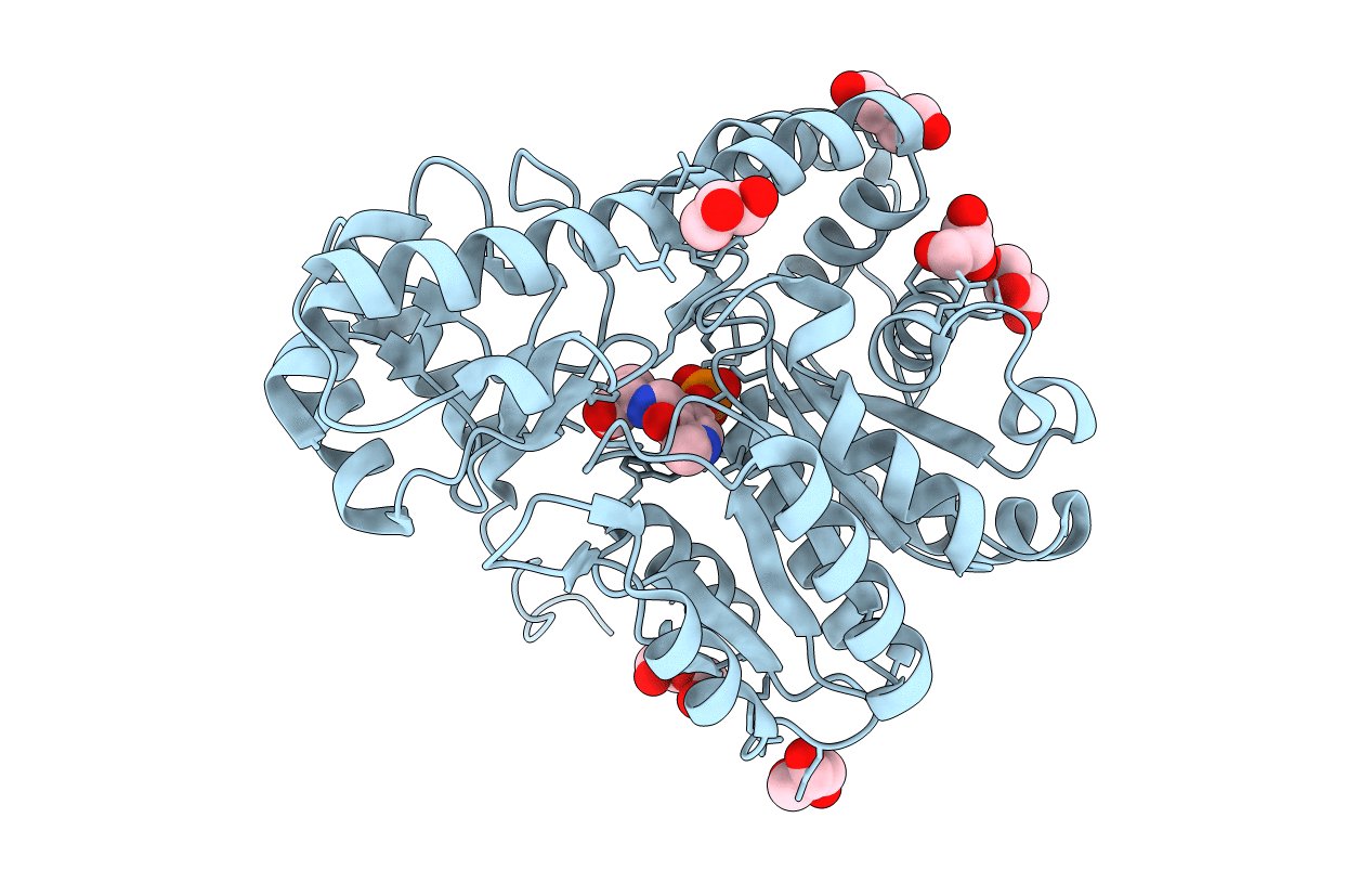 4A00 image