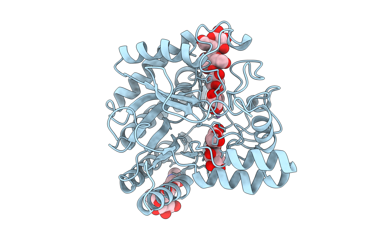 4A05 image