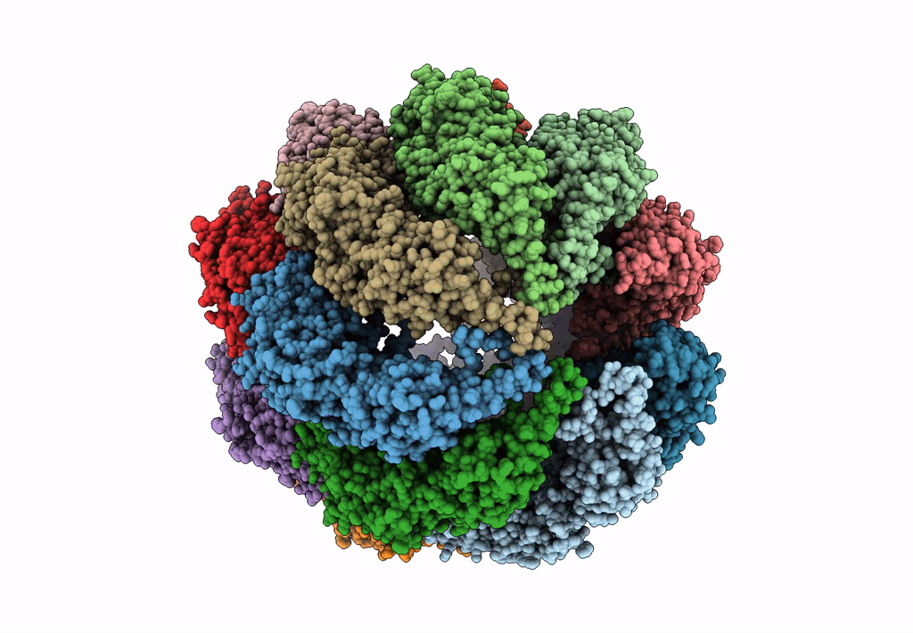 4A0W image