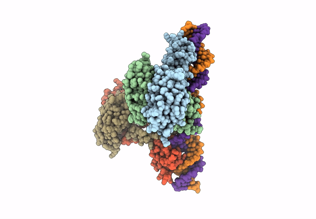 4A12 image