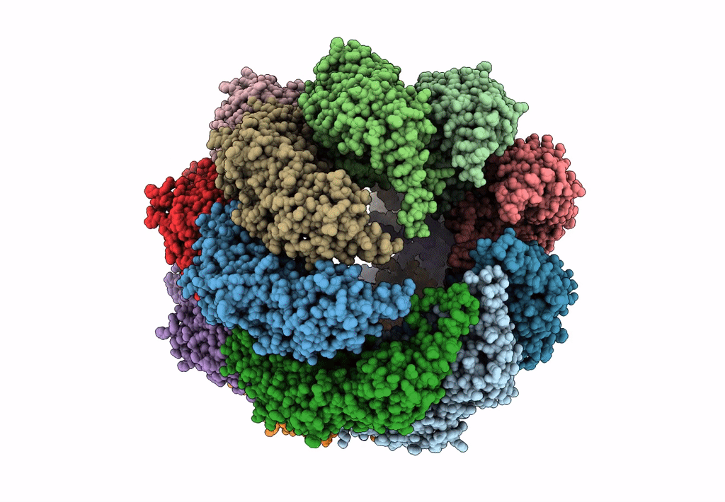 4A13 image