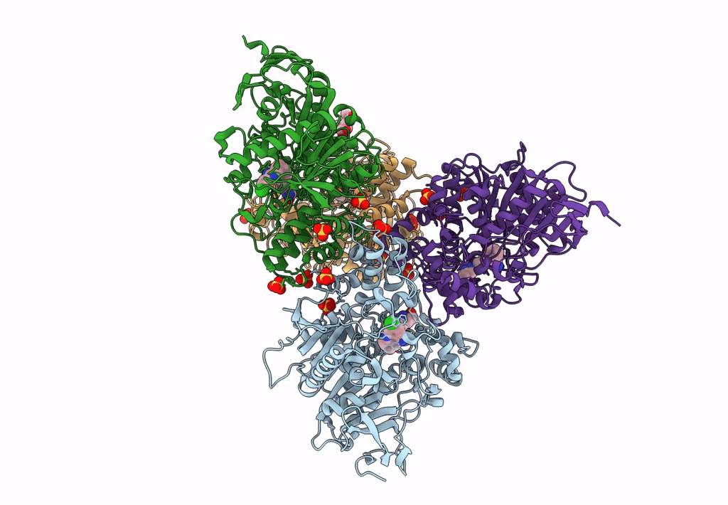 4A16 image