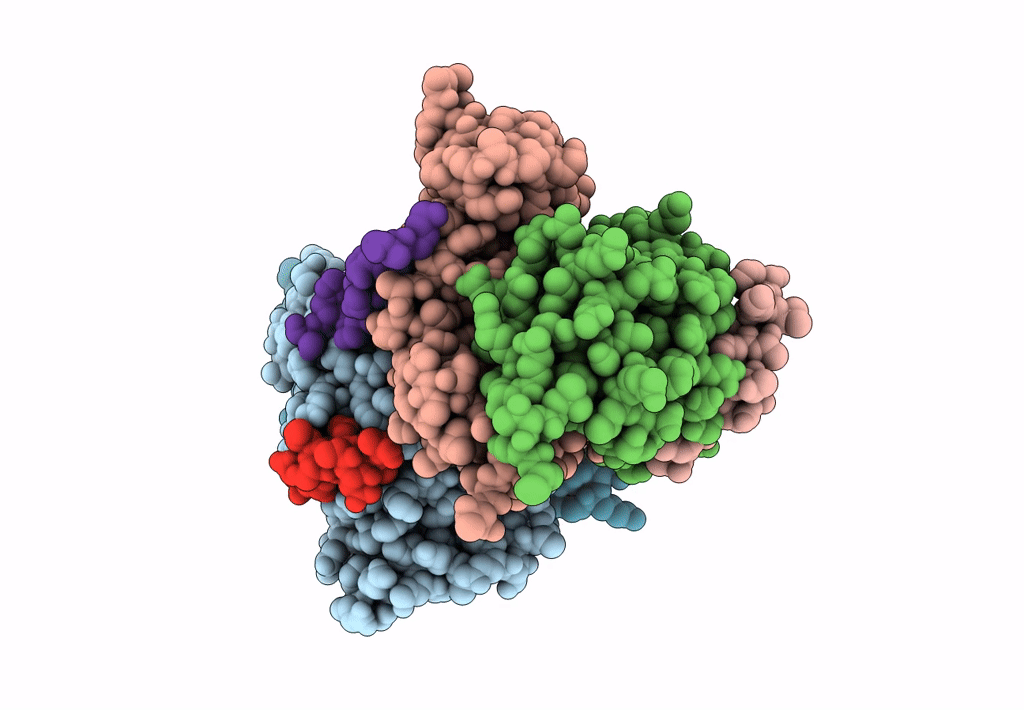 4A1G image