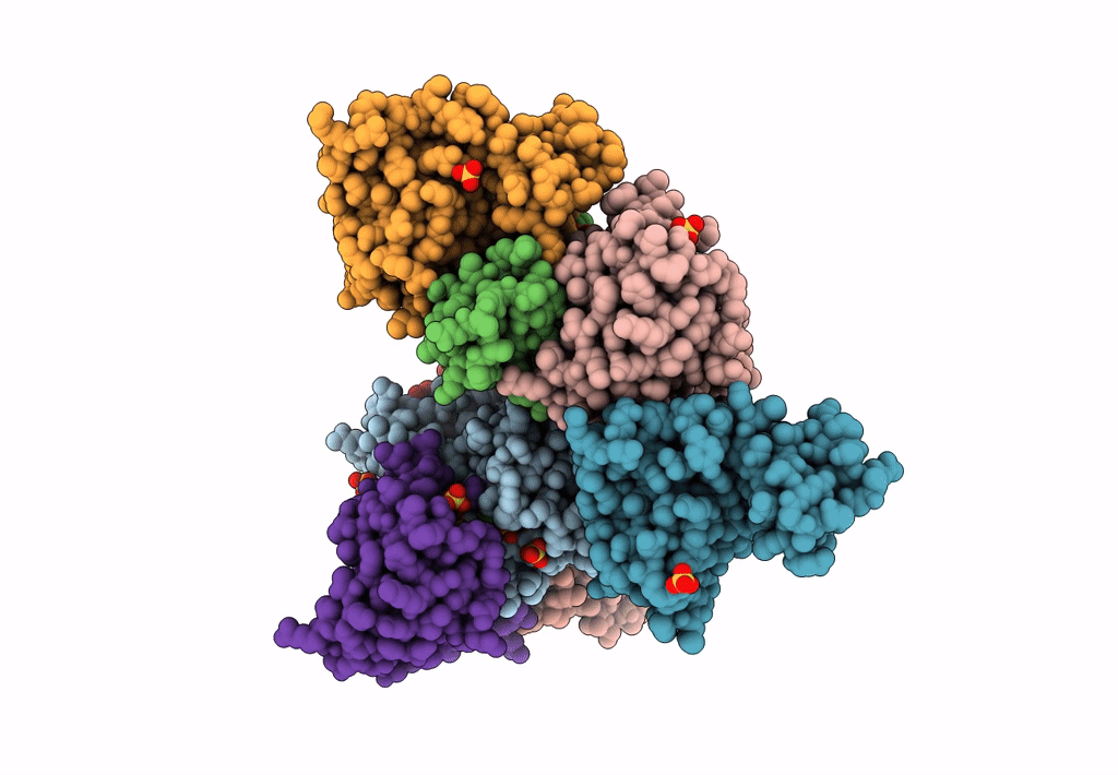 4A1I image