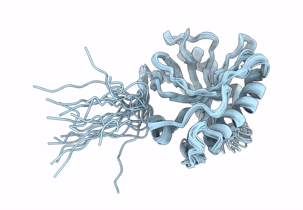 4A1M image