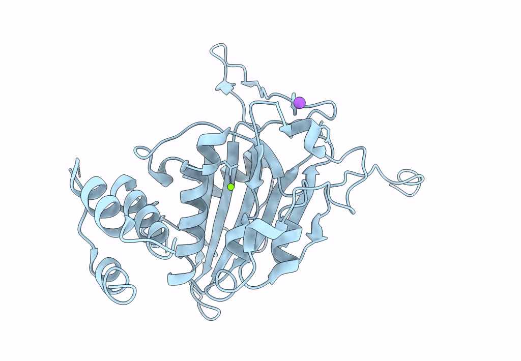 4A1N image