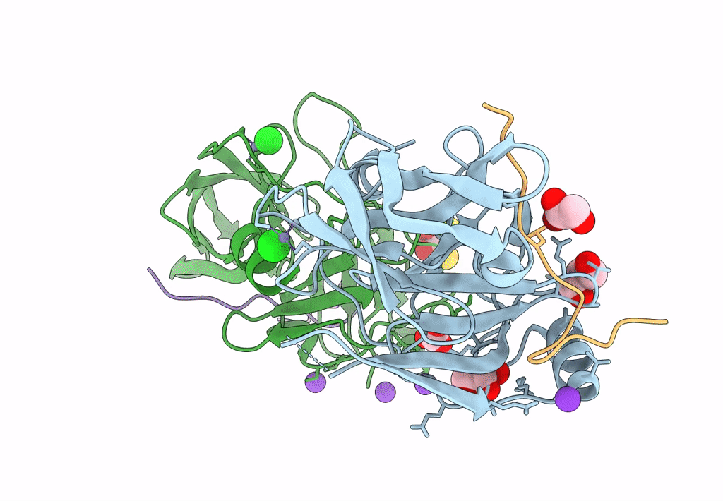 4A1T image