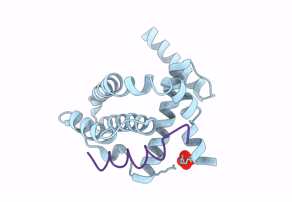 4A1U image