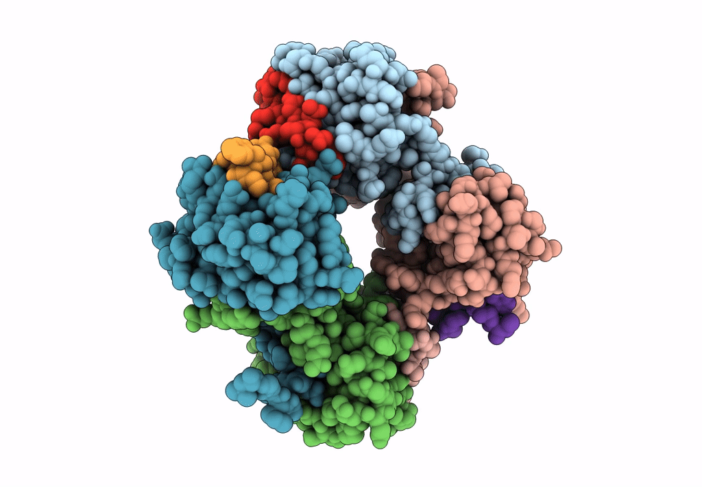 4A1W image