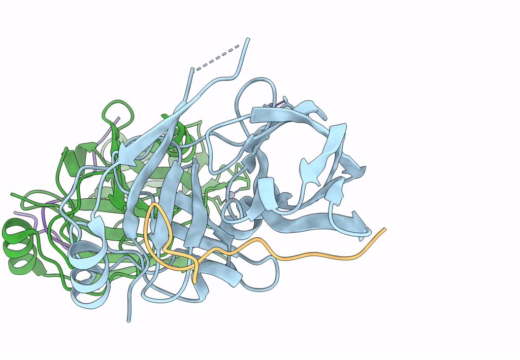 4A1X image