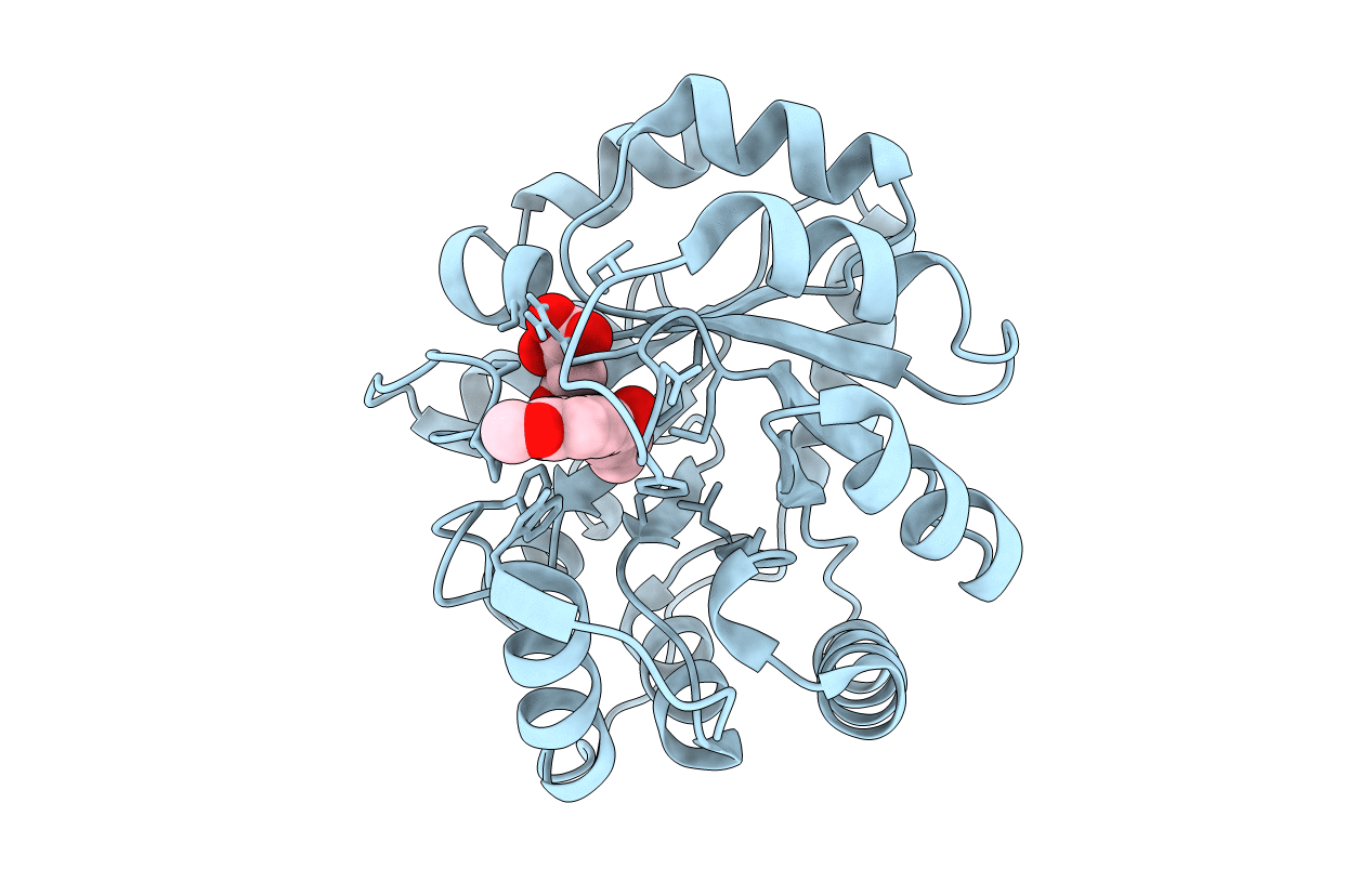 4A29 image
