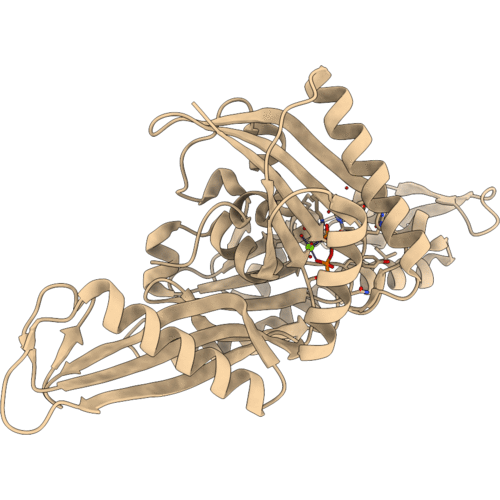 4A2B image