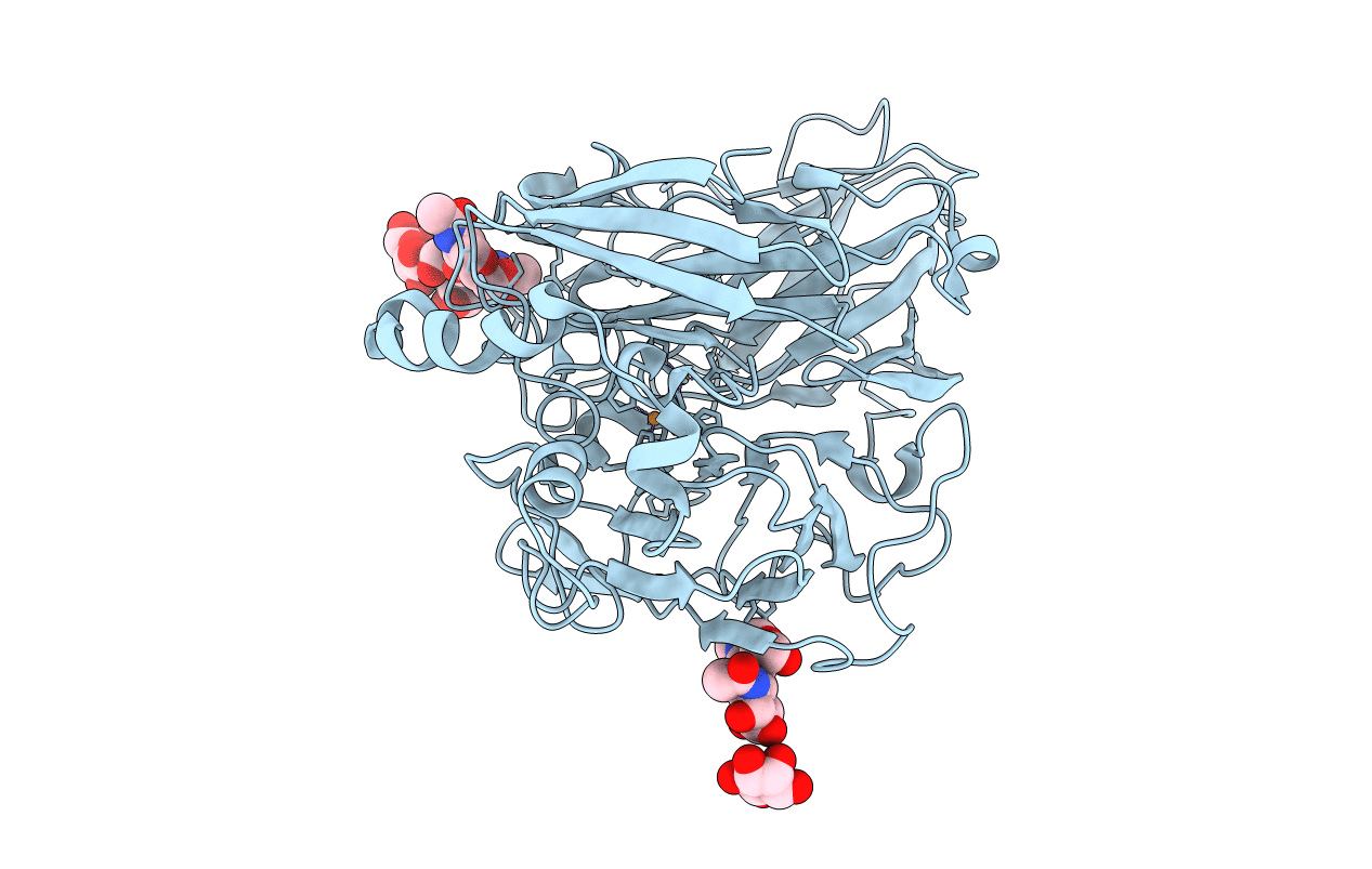 4A2D image