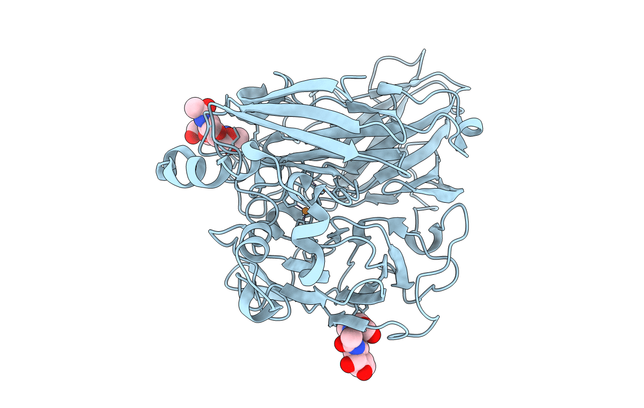4A2F image