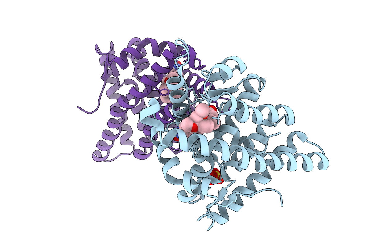 4A2J image