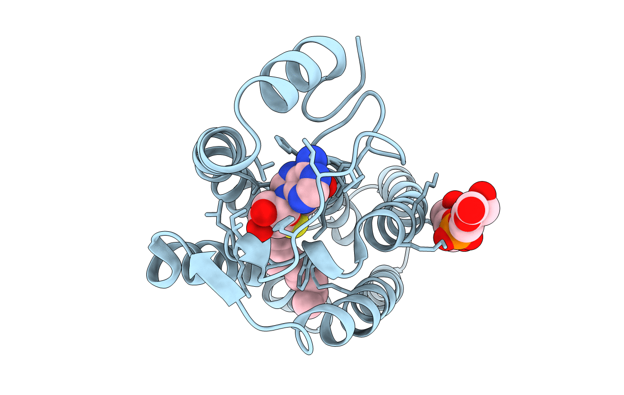 4A2N image