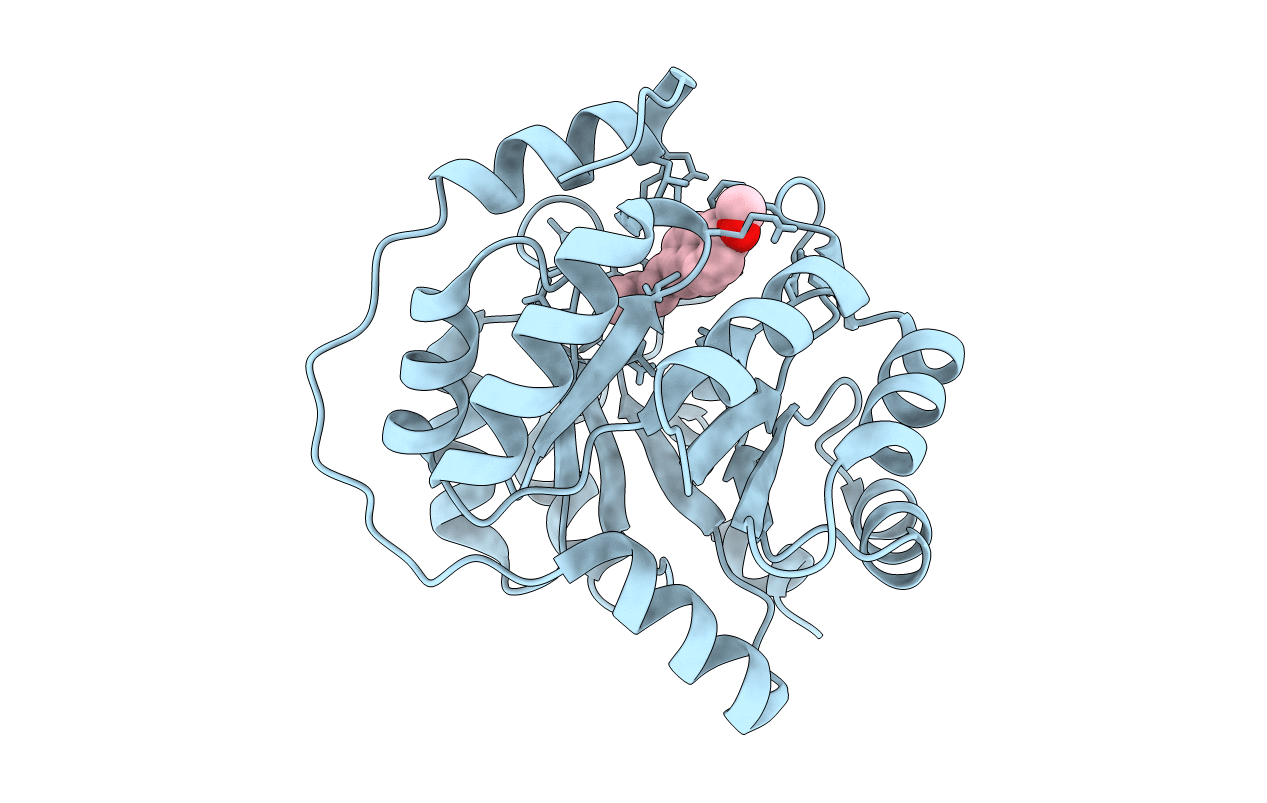 4A2R image