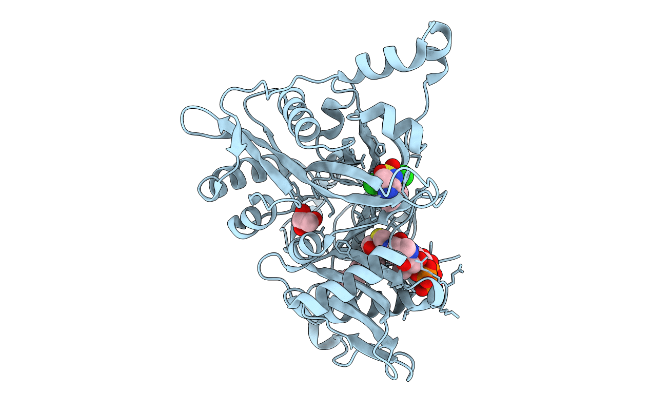 4A30 image