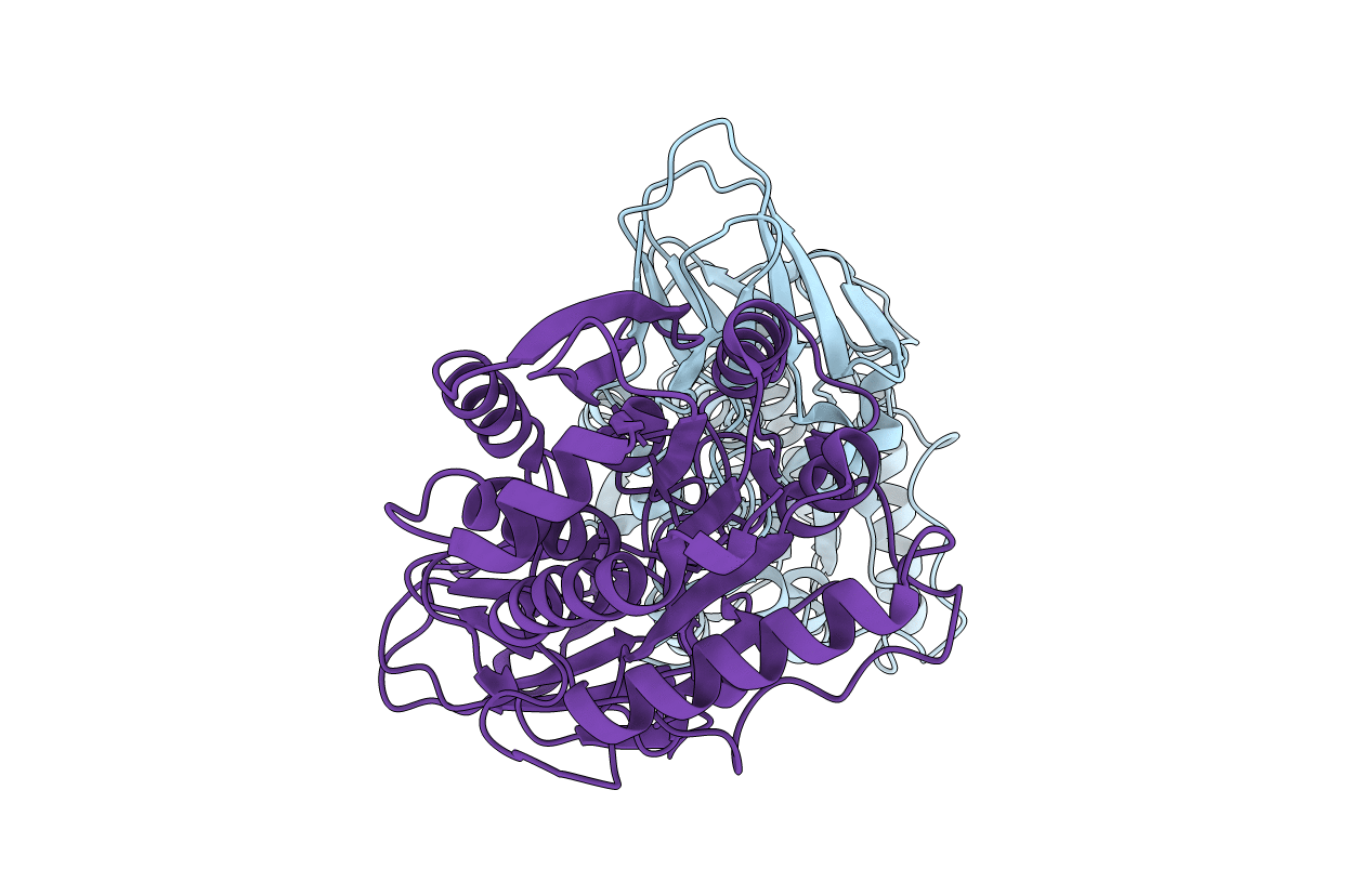 4A37 image