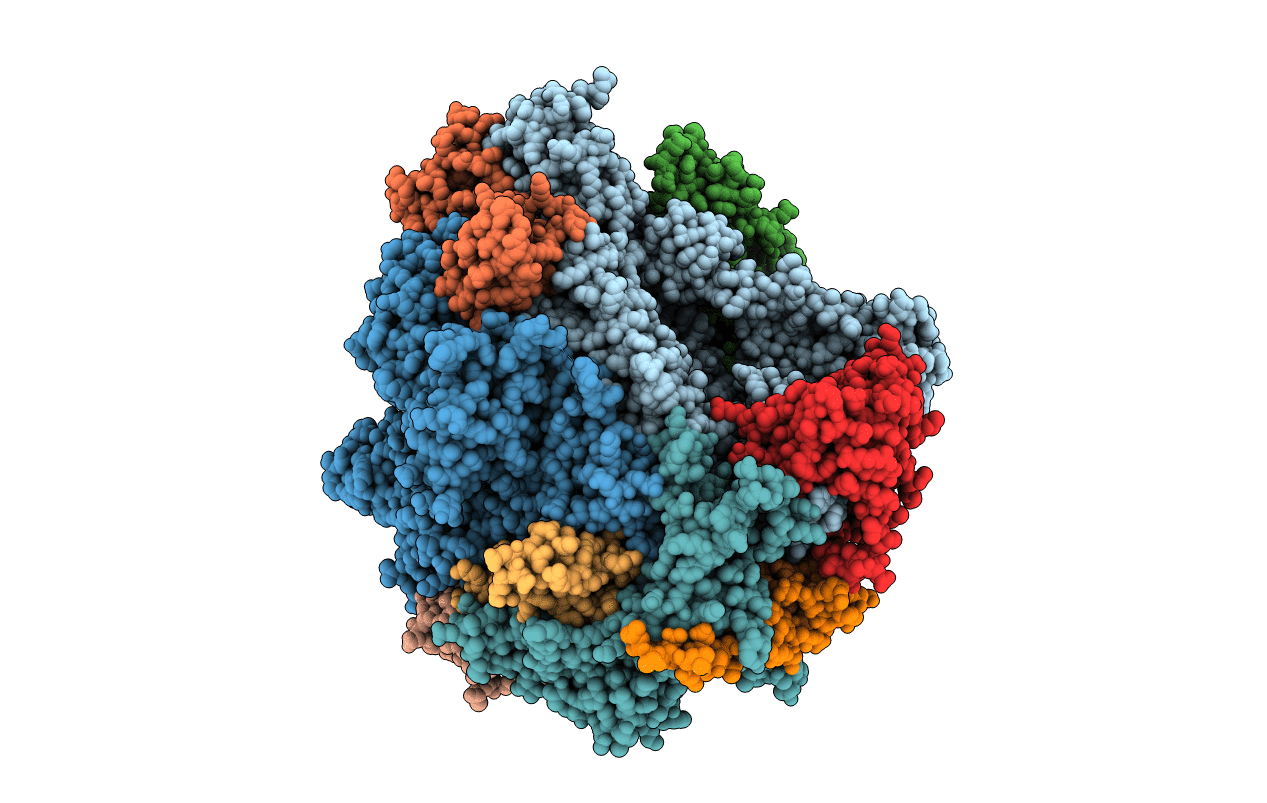 4A3I image