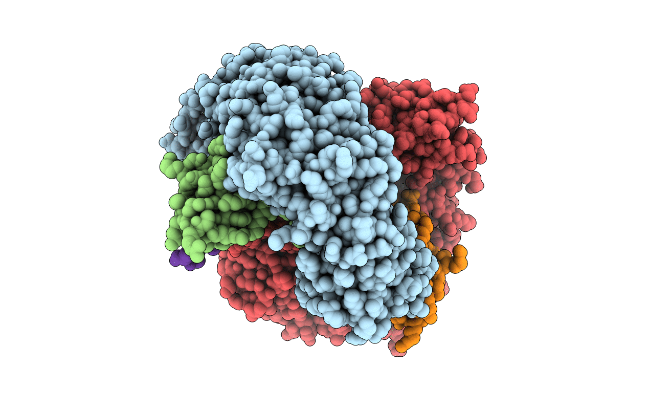 4A3V image